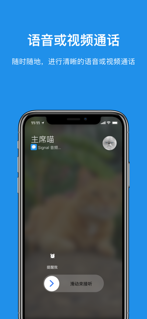 signal清爽版截图3