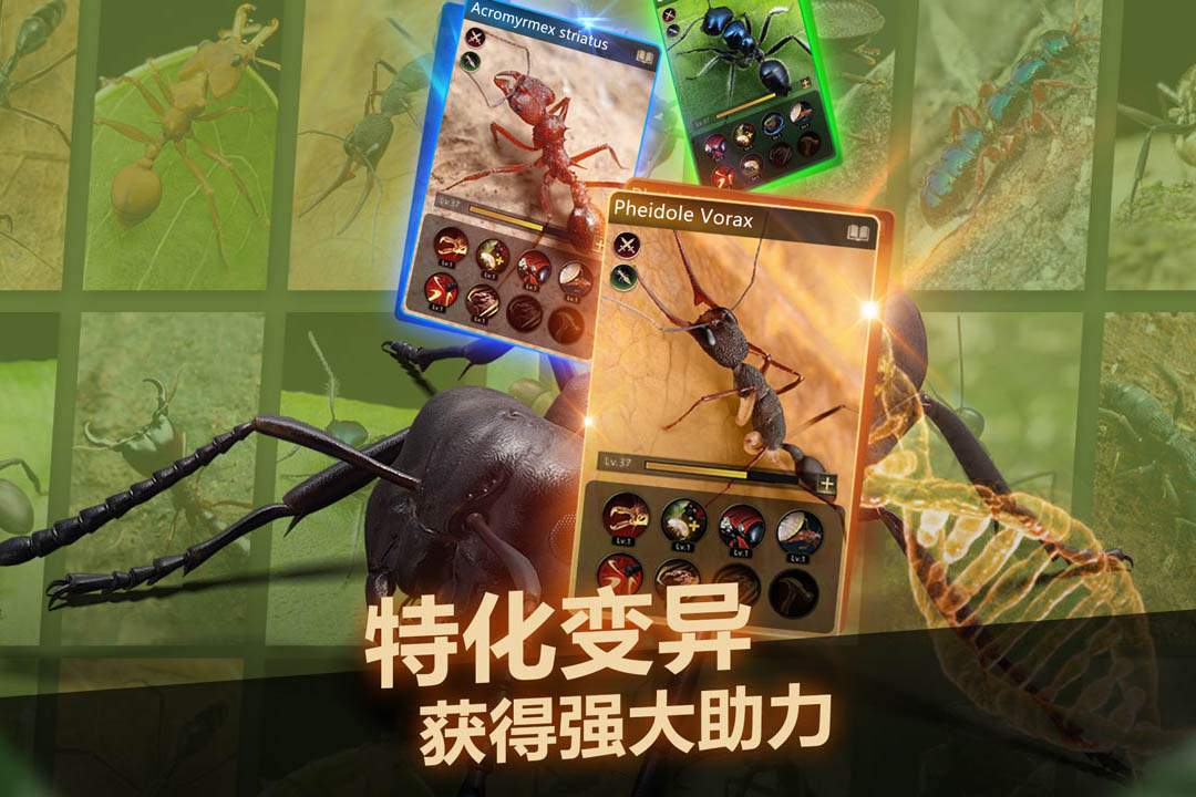 小小蚁国国服版截图3