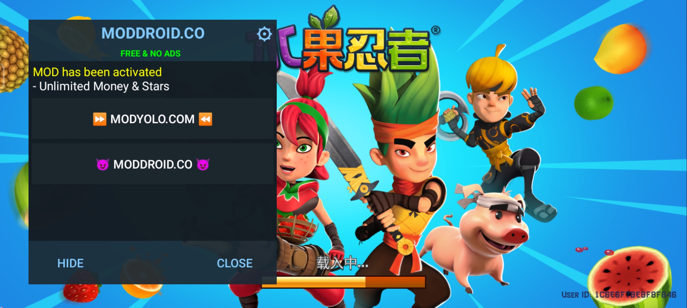 Fruit Ninja水果忍者破解版最新截图2