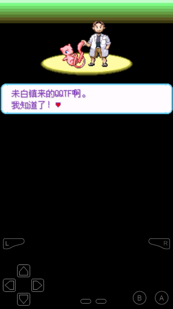 口袋妖怪永夜作弊版截图3