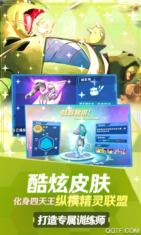 口袋高手究极进化版