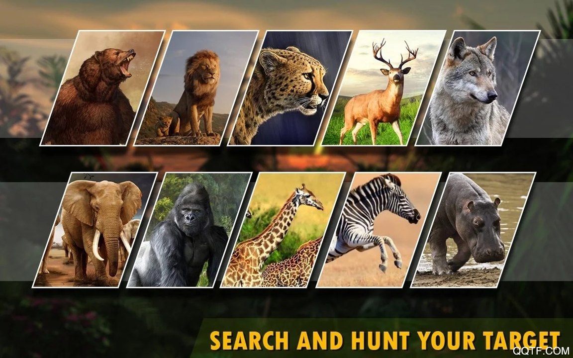 Extreme Deer Hunting 2019(动物猎人2019最新版)