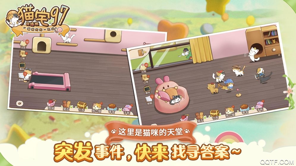 猫猫狗狗一起玩