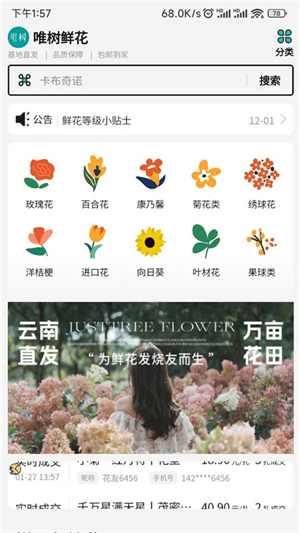 唯树鲜花免费版