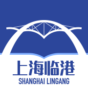 上海临港无广告版